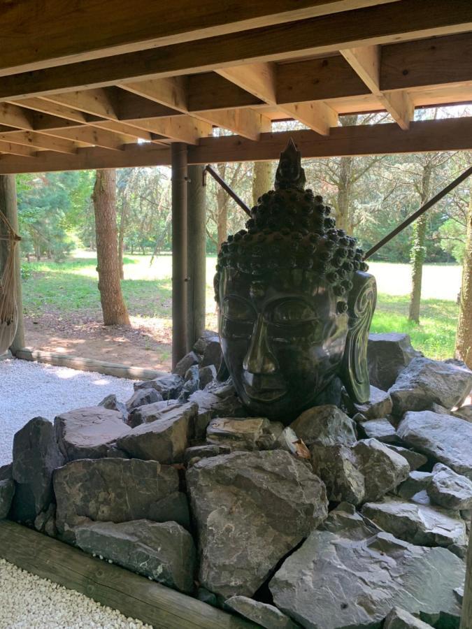 Vila Gite Pont-A-Mousson, La Pepiniere Pagode Asiatique Exteriér fotografie